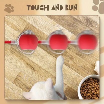 Juego de 3 Bolas Automáticas para Mascotas – Rojas, Grises y Verdes con Luz LED USB Recargable