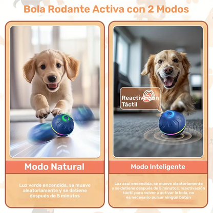 Pelota de Rebote para Perros – Activada por Movimiento, USB Recargable, 6.6 cm